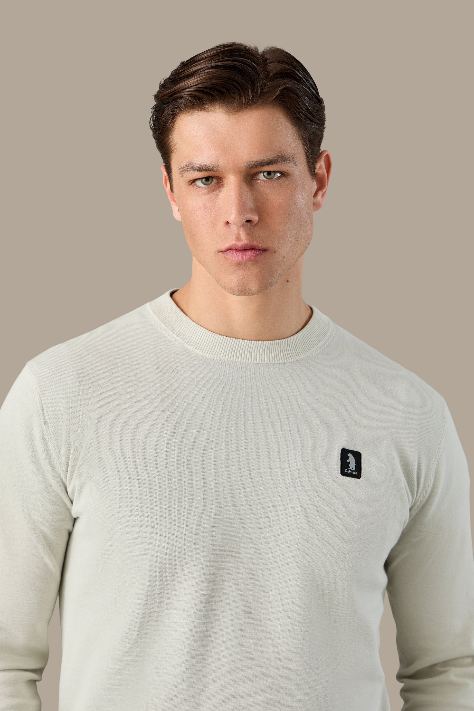 MAGLIA UOMO CREWNECK ICON VAPOR | REFRIGUE
