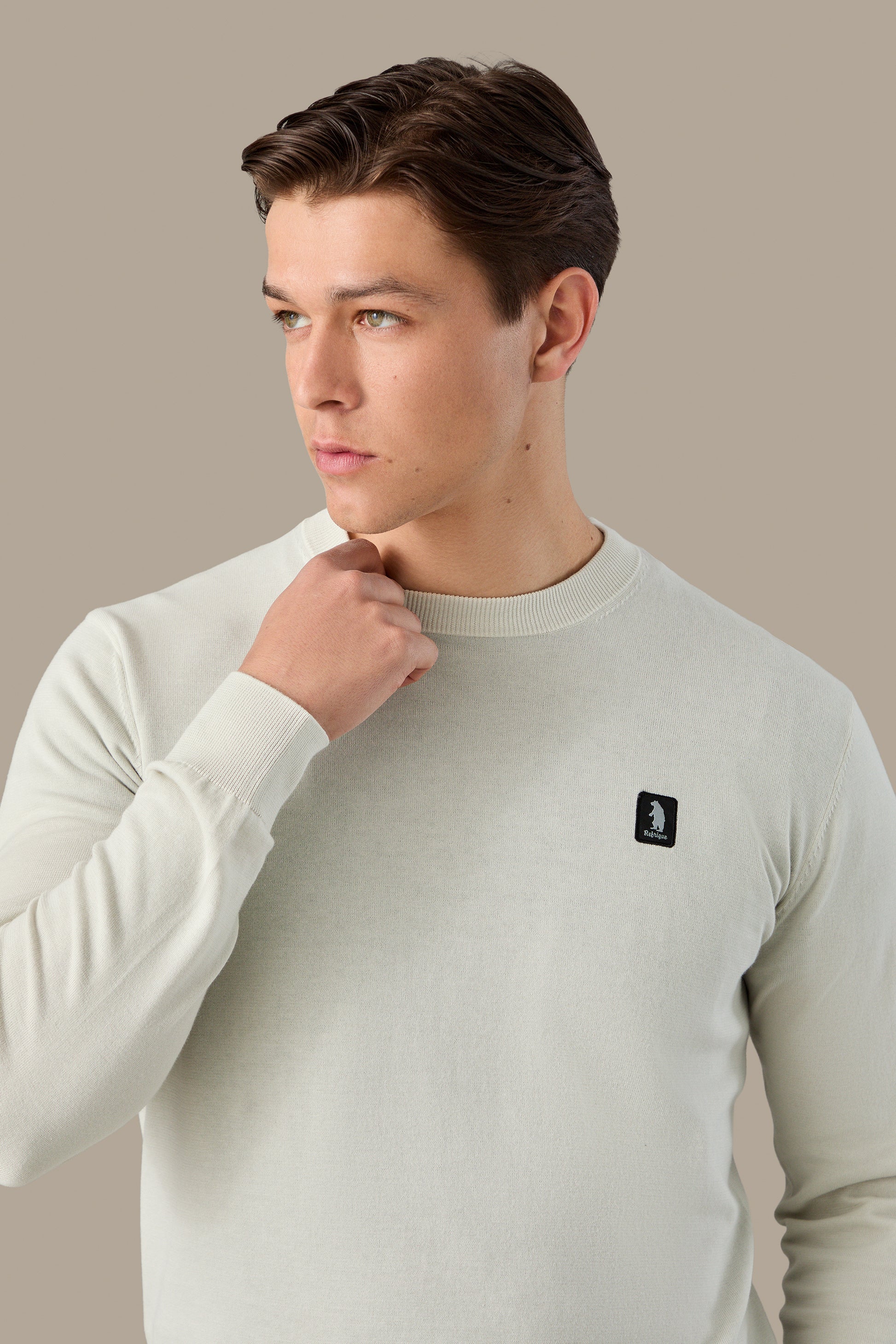 MAGLIA UOMO CREWNECK ICON VAPOR | REFRIGUE
