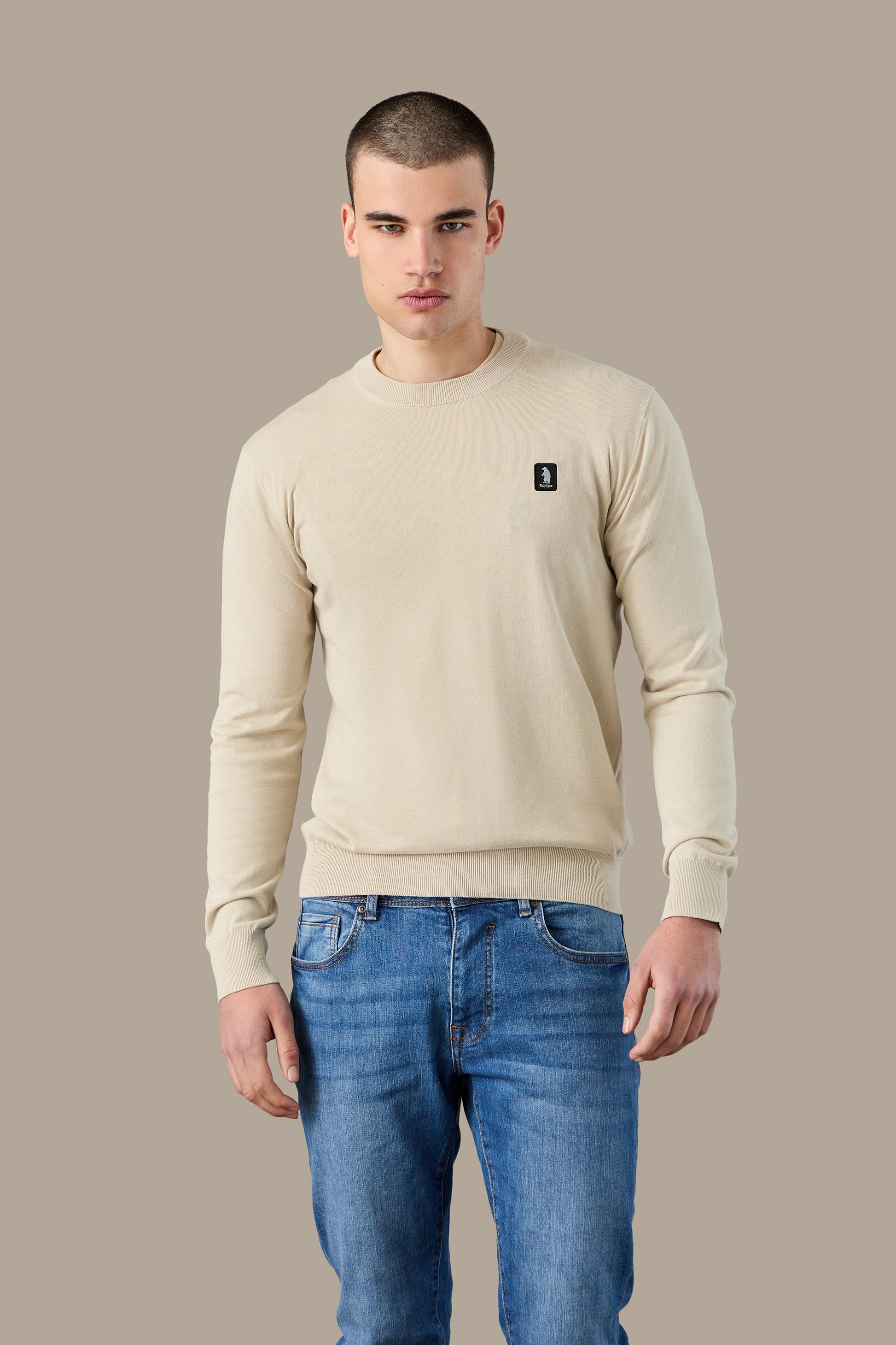 MAGLIA UOMO CREWNECK ICON VAPOR | REFRIGUE
