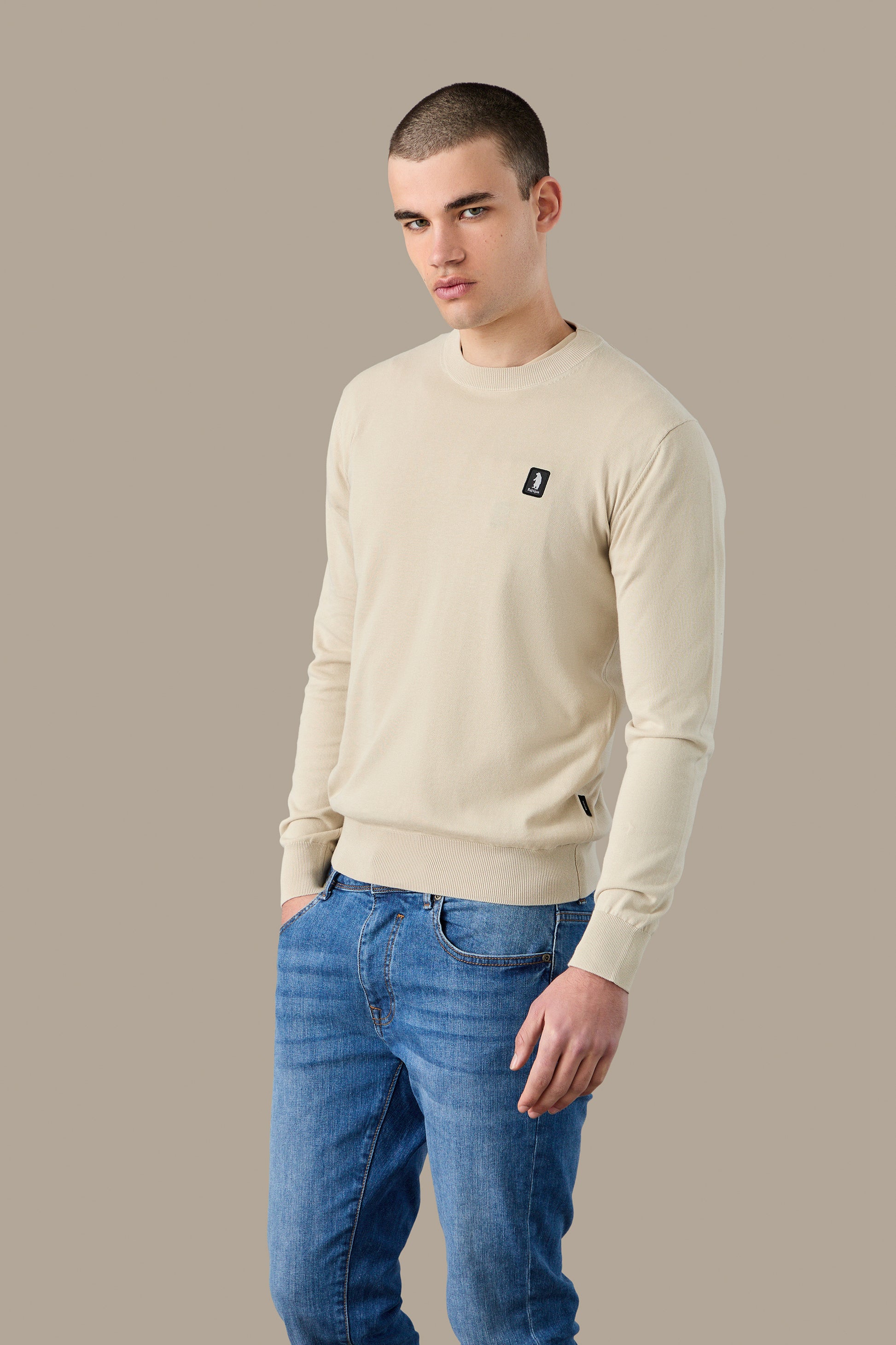 MAGLIA UOMO CREWNECK ICON VAPOR | REFRIGUE
