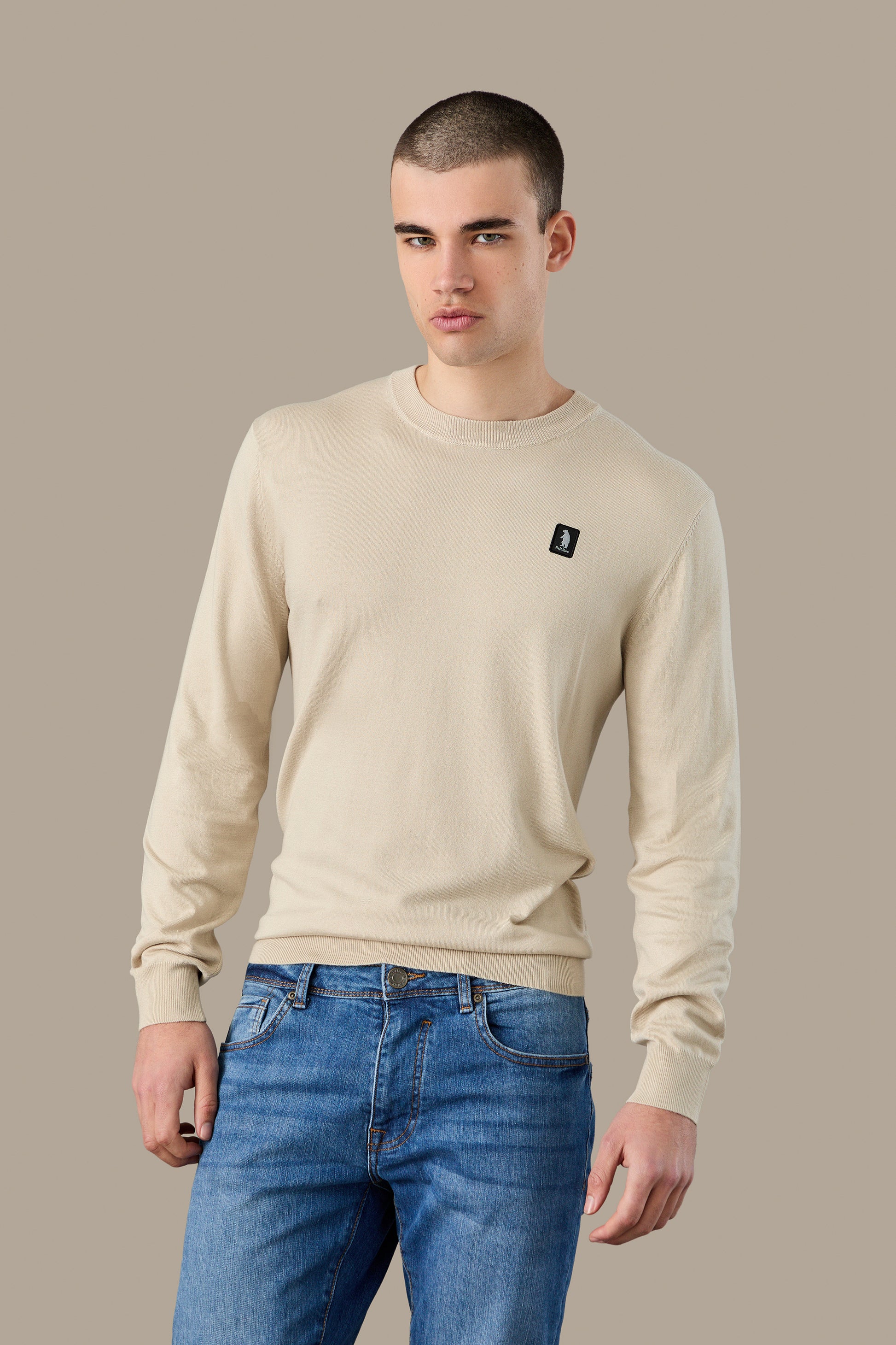 MAGLIA UOMO CREWNECK ICON VAPOR | REFRIGUE
